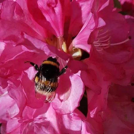 Apartament Bischof Nord Graal-Mueritz